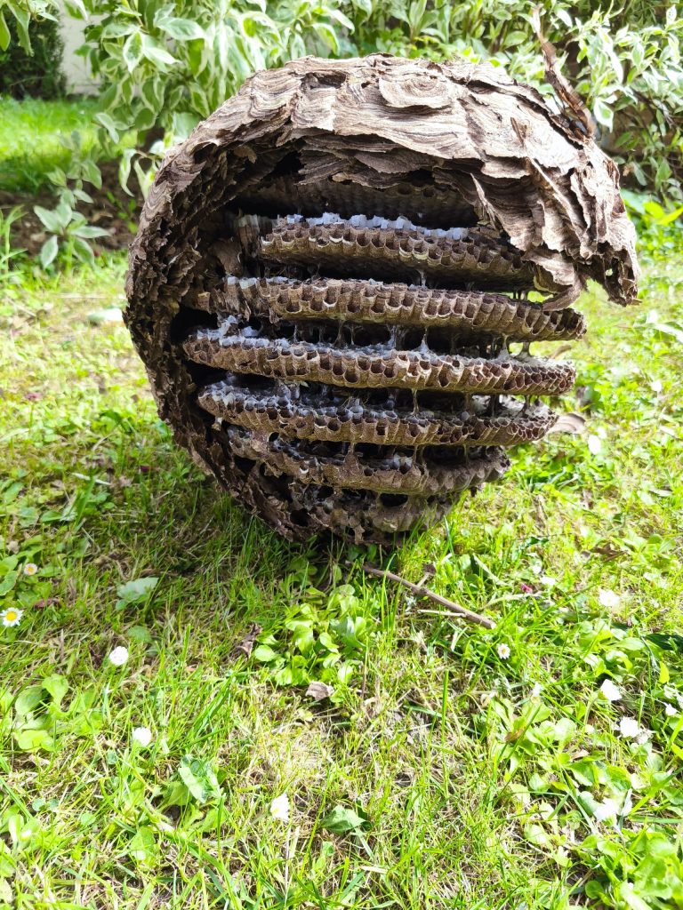 Leur présence constitue un danger