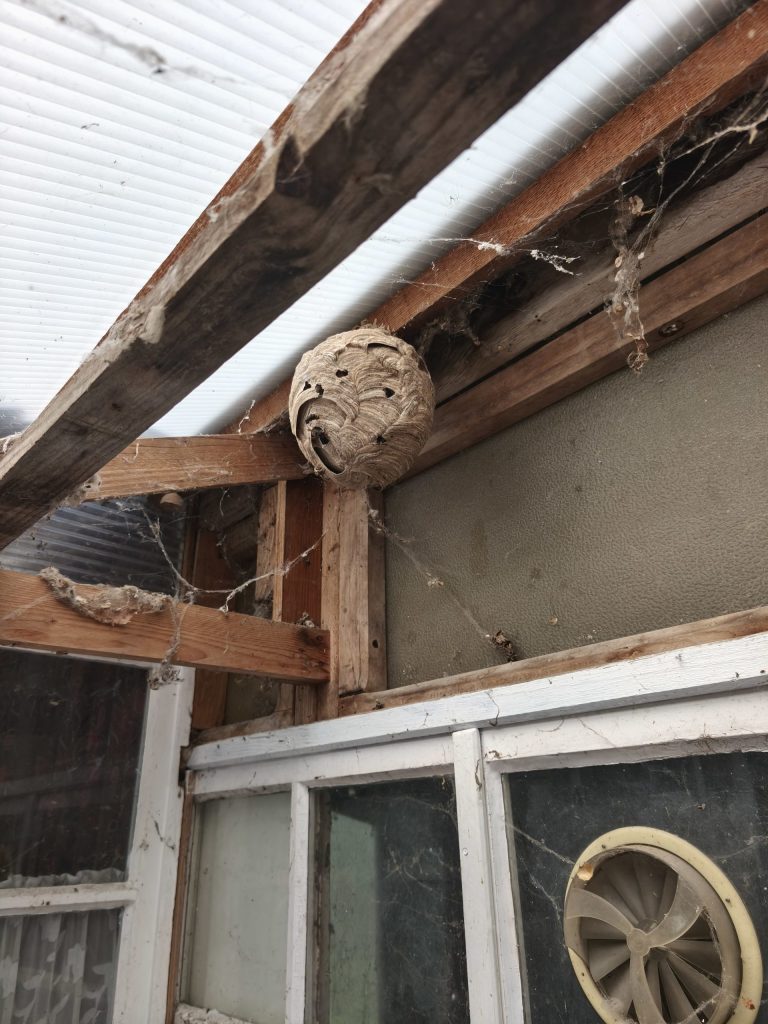 ils peuvent devenir problématiques